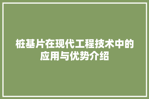 桩基片在现代工程技术中的应用与优势介绍 室内设计