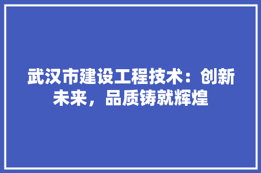 武汉市建设工程技术：创新未来，品质铸就辉煌