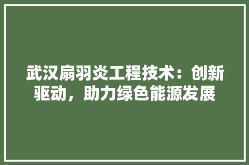 武汉扇羽炎工程技术：创新驱动，助力绿色能源发展 室内设计