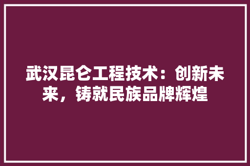 武汉昆仑工程技术：创新未来，铸就民族品牌辉煌