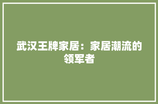 武汉王牌家居：家居潮流的领军者 室内设计