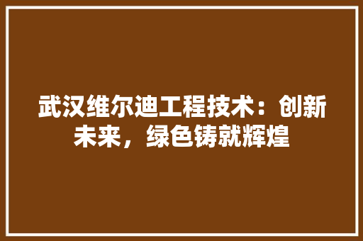 武汉维尔迪工程技术：创新未来，绿色铸就辉煌 室内设计