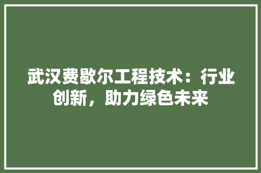 武汉费歇尔工程技术：行业创新，助力绿色未来
