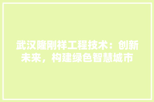 武汉隆刚祥工程技术：创新未来，构建绿色智慧城市 室内设计