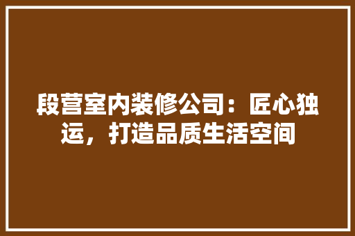 段营室内装修公司：匠心独运，打造品质生活空间 室内设计