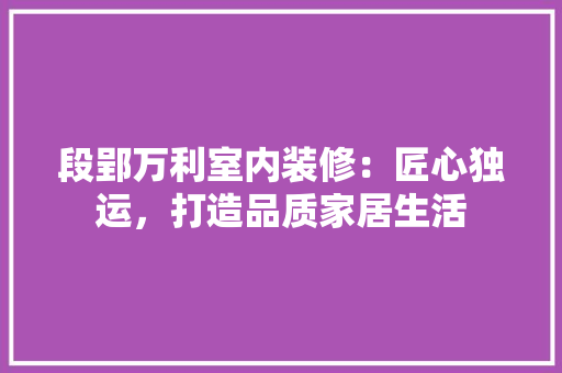 段郢万利室内装修：匠心独运，打造品质家居生活 室内设计