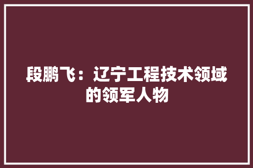 段鹏飞：辽宁工程技术领域的领军人物 室内设计