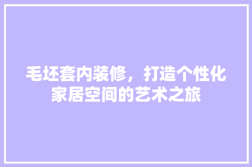 毛坯套内装修，打造个性化家居空间的艺术之旅