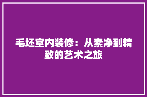 毛坯室内装修：从素净到精致的艺术之旅 室内设计