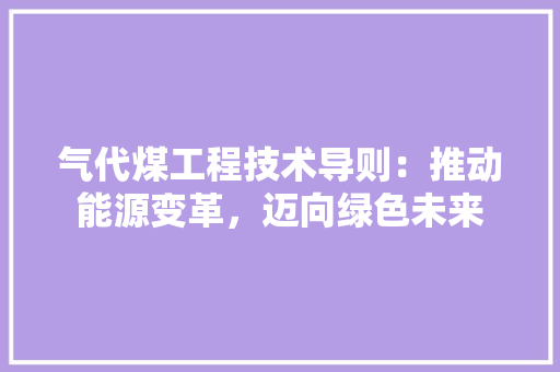气代煤工程技术导则：推动能源变革，迈向绿色未来 室内设计
