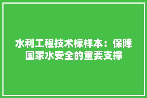 水利工程技术标样本：保障国家水安全的重要支撑 室内设计