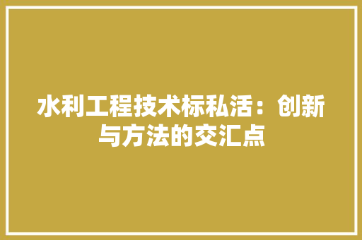 水利工程技术标私活：创新与方法的交汇点 室内设计