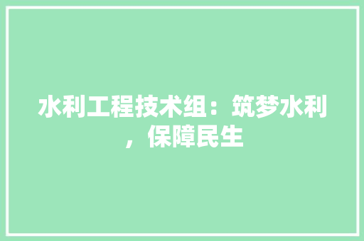 水利工程技术组：筑梦水利，保障民生 室内设计