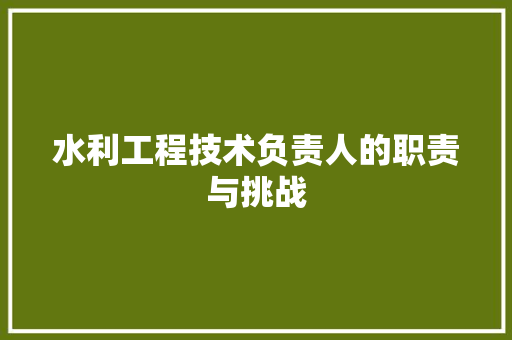 水利工程技术负责人的职责与挑战 室内设计