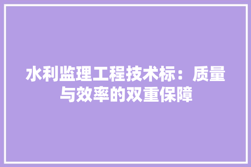 水利监理工程技术标：质量与效率的双重保障 室内设计