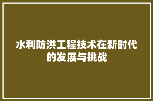 水利防洪工程技术在新时代的发展与挑战