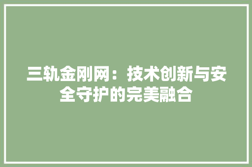 三轨金刚网：技术创新与安全守护的完美融合