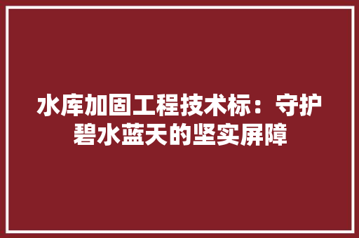 水库加固工程技术标：守护碧水蓝天的坚实屏障
