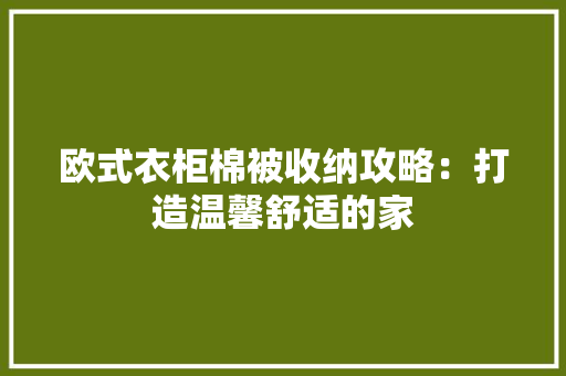 欧式衣柜棉被收纳攻略：打造温馨舒适的家 室内设计