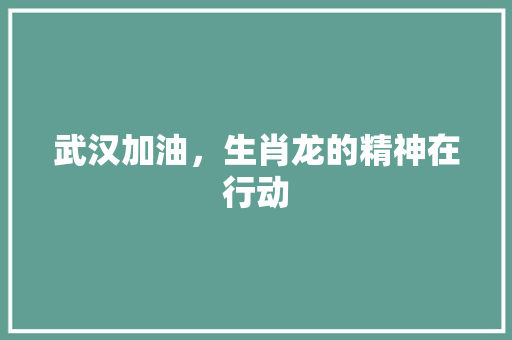武汉加油，生肖龙的精神在行动 室内设计