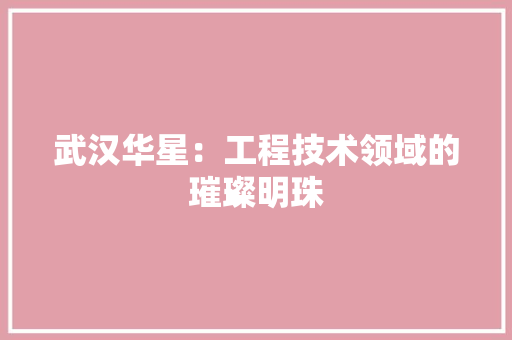 武汉华星：工程技术领域的璀璨明珠 室内设计