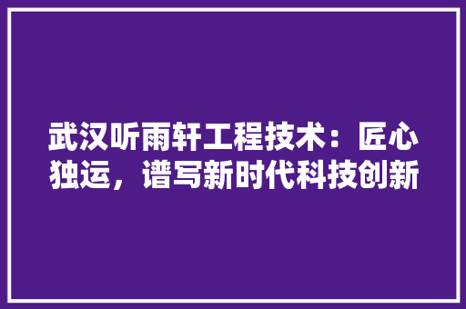 武汉听雨轩工程技术：匠心独运，谱写新时代科技创新新篇章