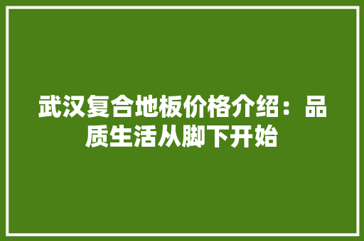 武汉复合地板价格介绍：品质生活从脚下开始 室内设计