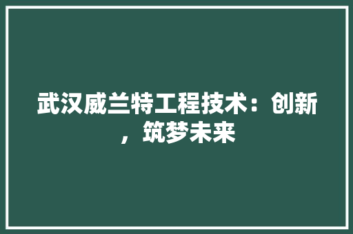 武汉威兰特工程技术：创新，筑梦未来 室内设计