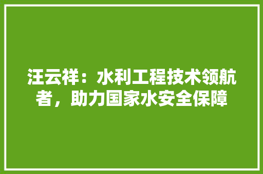 汪云祥：水利工程技术领航者，助力国家水安全保障