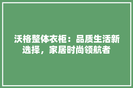 沃格整体衣柜：品质生活新选择，家居时尚领航者 室内设计