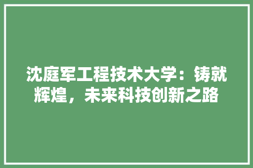 沈庭军工程技术大学：铸就辉煌，未来科技创新之路