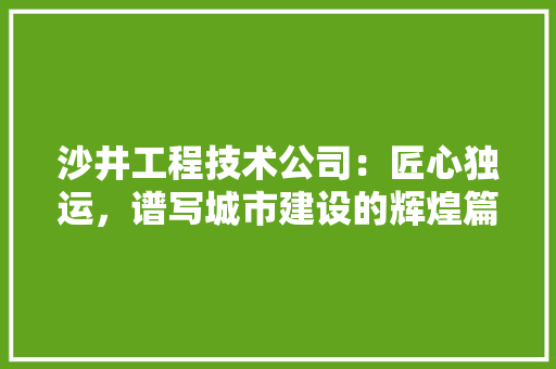 沙井工程技术公司：匠心独运，谱写城市建设的辉煌篇章 室内设计