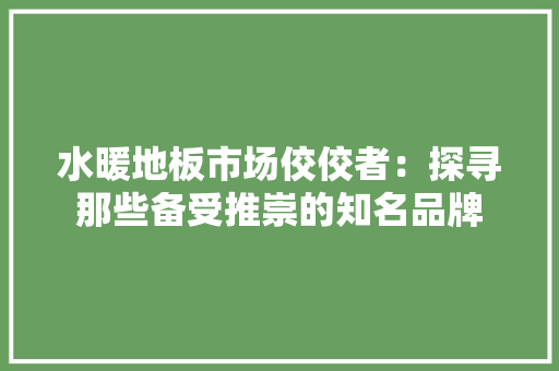 水暖地板市场佼佼者：探寻那些备受推崇的知名品牌 室内设计