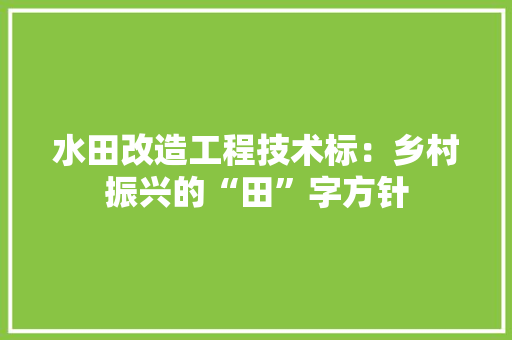 水田改造工程技术标：乡村振兴的“田”字方针 室内设计