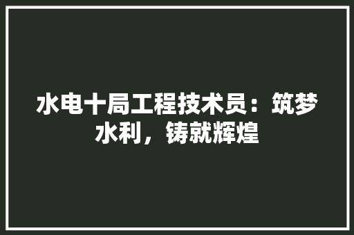 水电十局工程技术员：筑梦水利，铸就辉煌 室内设计