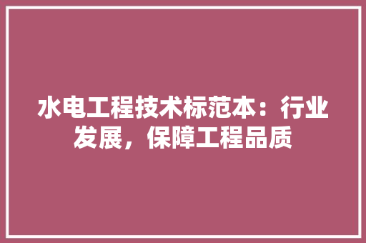 水电工程技术标范本：行业发展，保障工程品质
