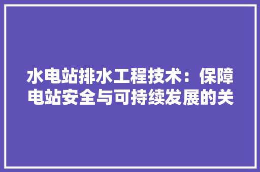 水电站排水工程技术：保障电站安全与可持续发展的关键