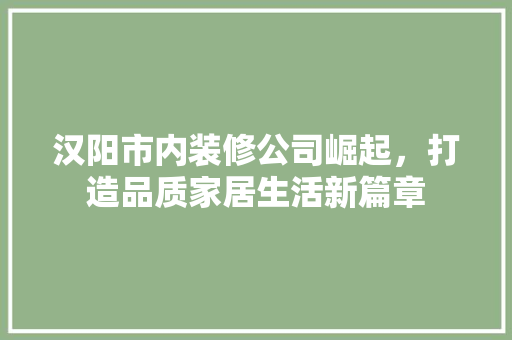 汉阳市内装修公司崛起，打造品质家居生活新篇章 室内设计