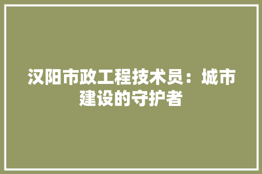汉阳市政工程技术员：城市建设的守护者 室内设计