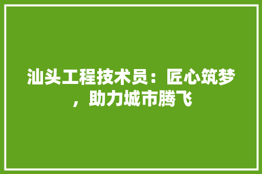 汕头工程技术员：匠心筑梦，助力城市腾飞