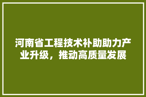 河南省工程技术补助助力产业升级，推动高质量发展
