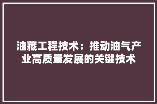 油藏工程技术：推动油气产业高质量发展的关键技术 室内设计