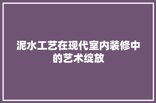 泥水工艺在现代室内装修中的艺术绽放