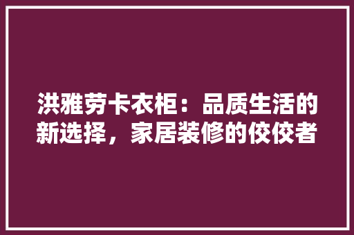 洪雅劳卡衣柜：品质生活的新选择，家居装修的佼佼者 室内设计