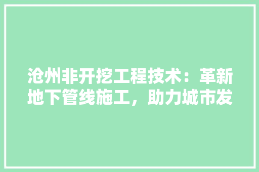 沧州非开挖工程技术：革新地下管线施工，助力城市发展 室内设计