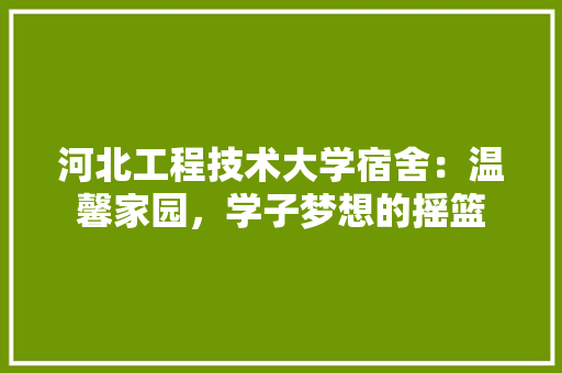 河北工程技术大学宿舍：温馨家园，学子梦想的摇篮