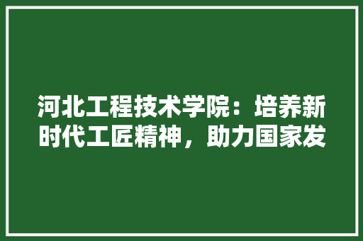 河北工程技术学院：培养新时代工匠精神，助力国家发展 室内设计