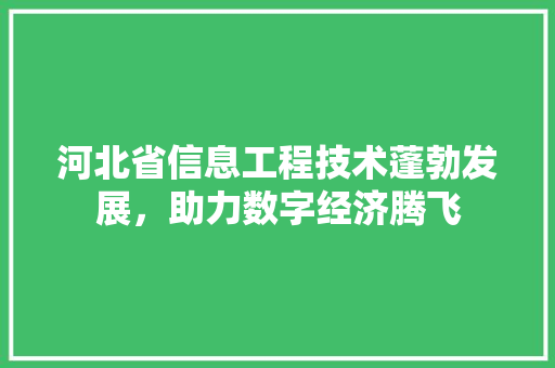 河北省信息工程技术蓬勃发展，助力数字经济腾飞