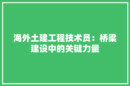 海外土建工程技术员：桥梁建设中的关键力量
