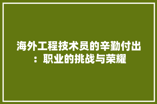 海外工程技术员的辛勤付出：职业的挑战与荣耀 室内设计